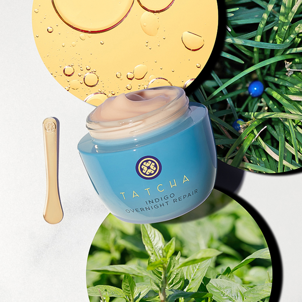 【正規取扱店】 タッチャ Tatcha（タッチャ） | クリーム オーバーナイト インディゴ フェイスクリーム